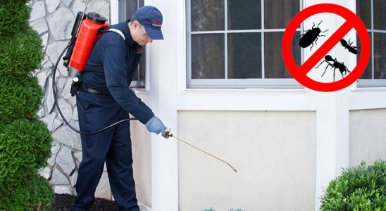 Arhavi Karınca İlaçlama böcek ilaçlama ve haşere kontrolü — ilaclama-tr.com